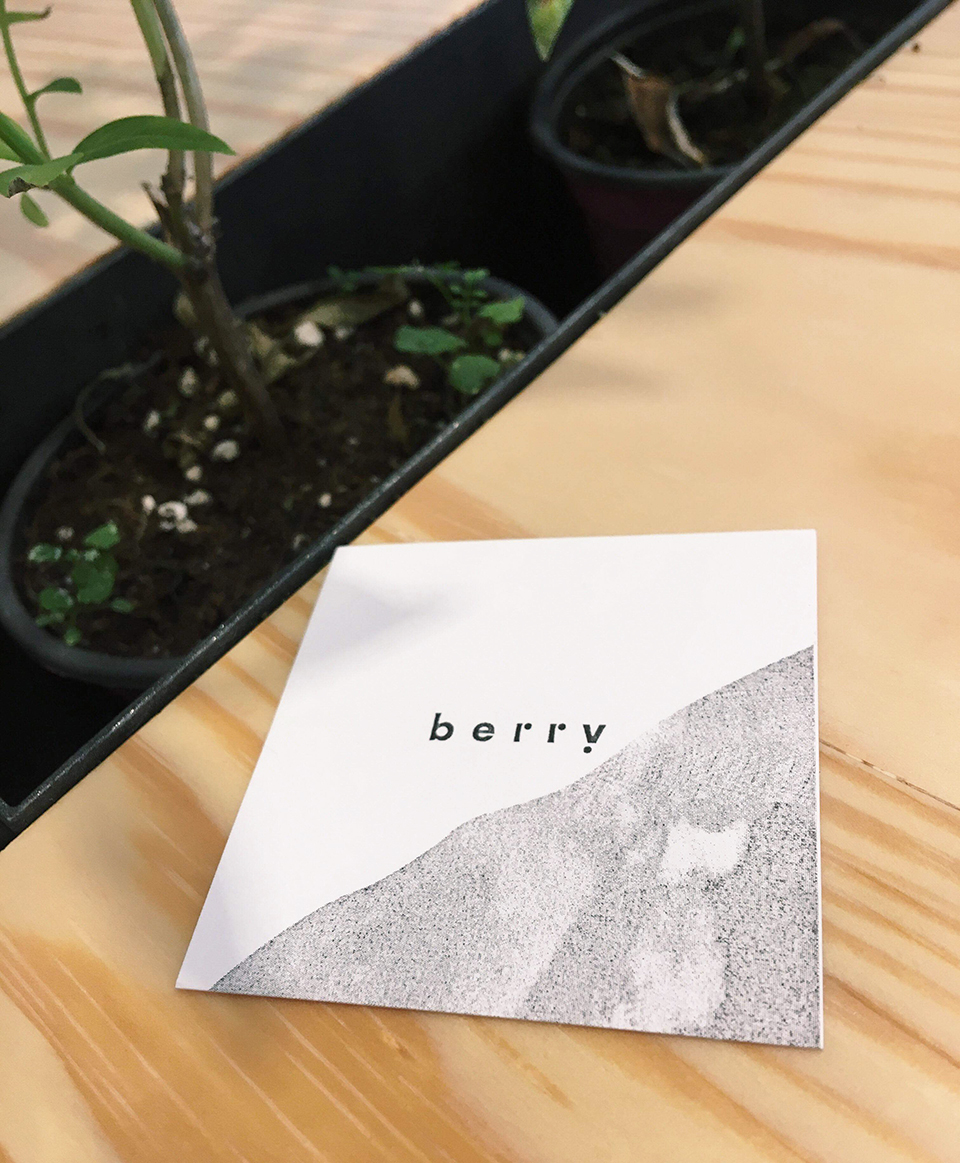 berry__